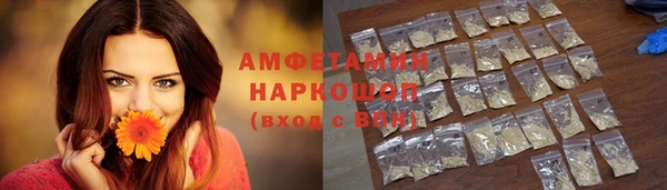 прущие грибы Алзамай